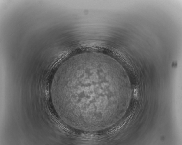 X0000095510771200712211239
