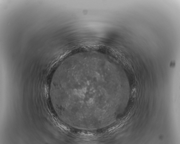 X0000095510772200712211239