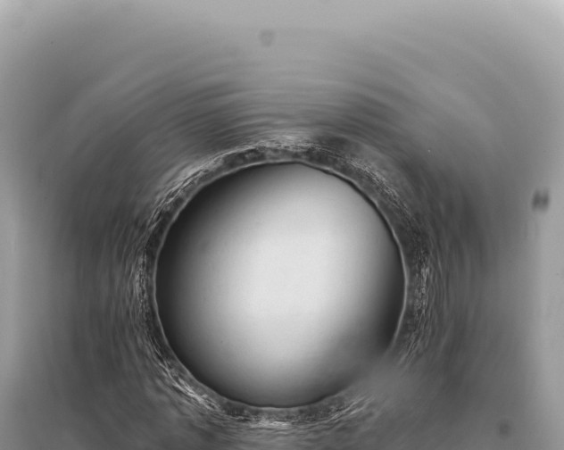 X0000095510773200712211239