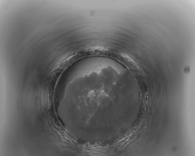 X0000095510774200712211239