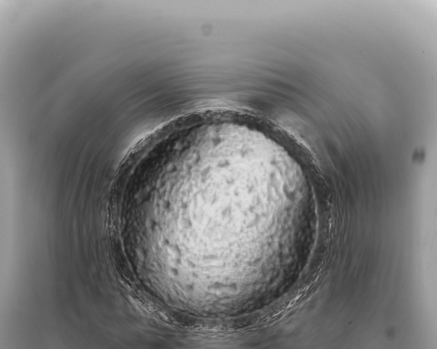 X0000095510775200712211239