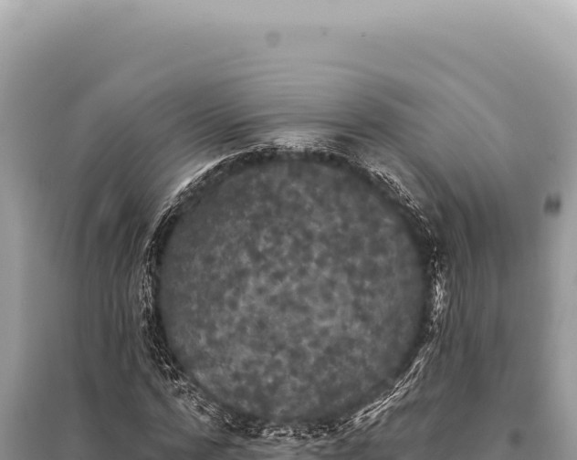 X0000095510776200712211239