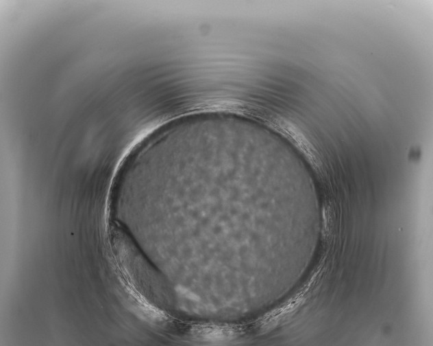 X0000095510780200712211239