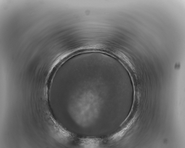 X0000095510781200712211239
