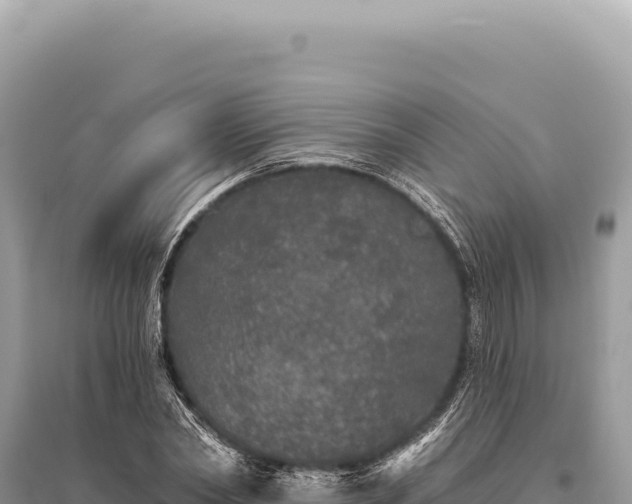 X0000095510782200712211239