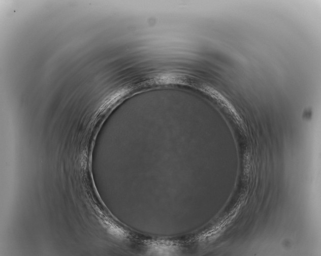 X0000095510785200712211239