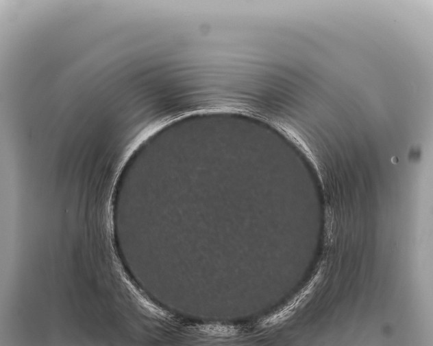 X0000095510789200712211239