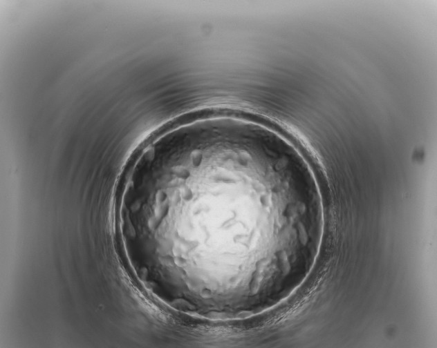 X0000095510791200712211239