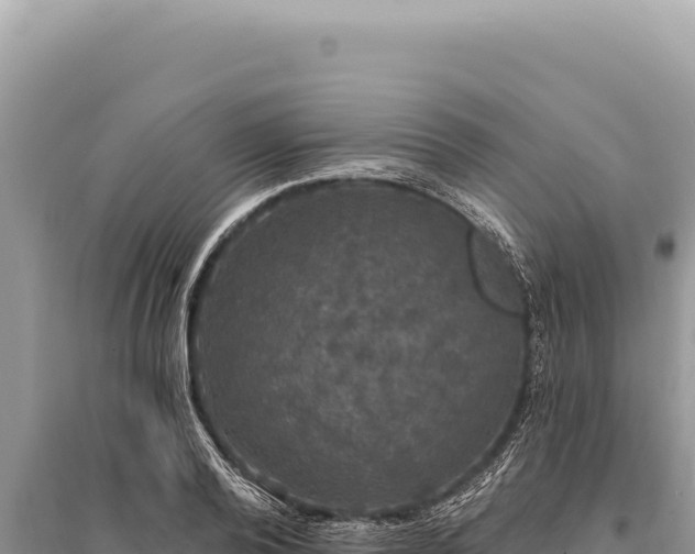 X0000095510792200712211239