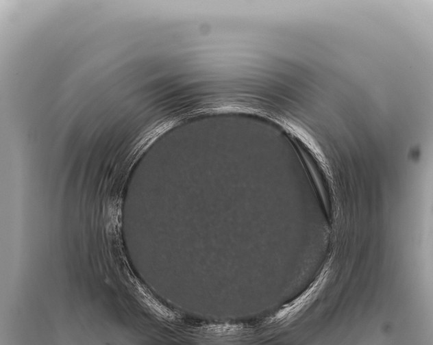 X0000095510793200712211239