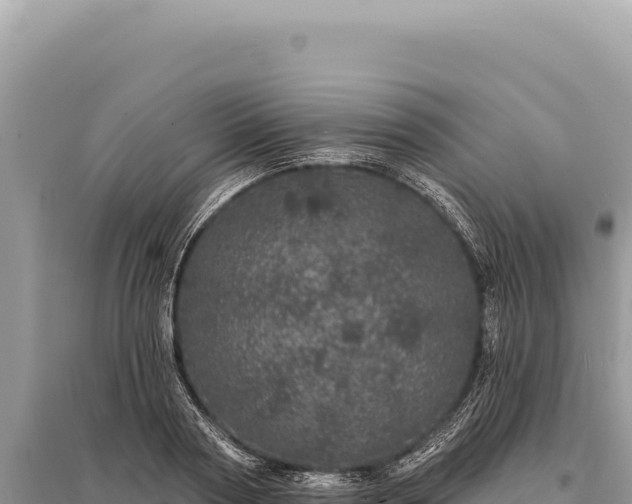 X0000095510794200712211239