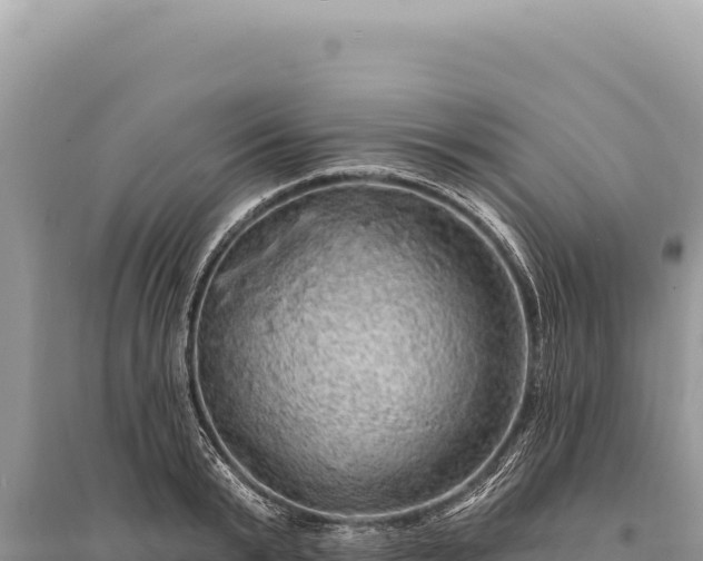 X0000095510799200712211239