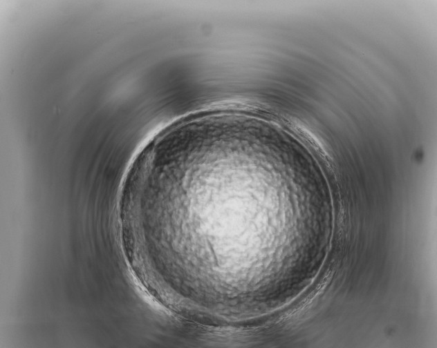 X0000095510800200712211239