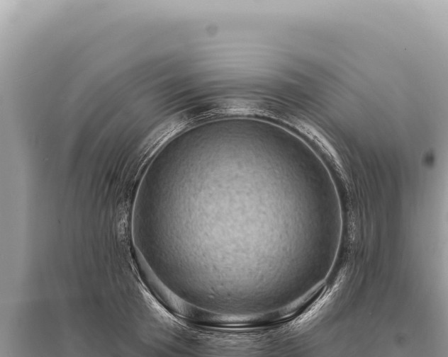 X0000095510801200712211239