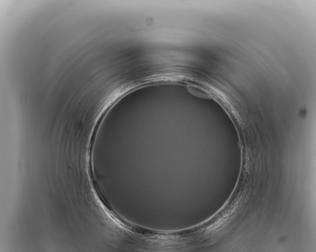 X0000095510802200712211239