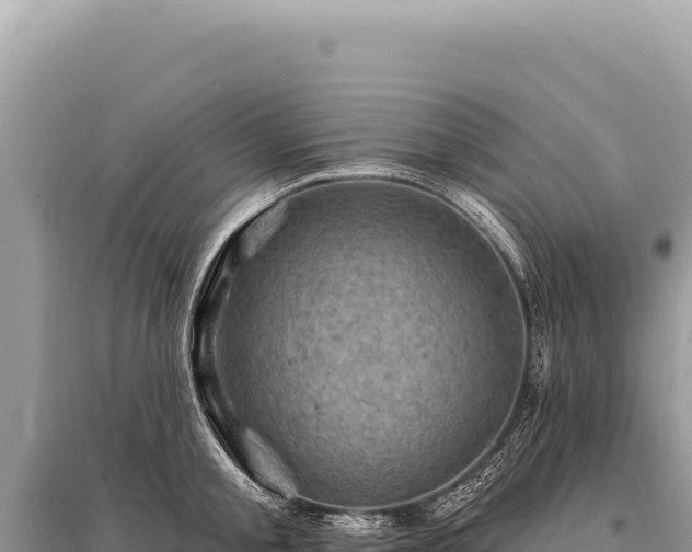 X0000095510805200712211239