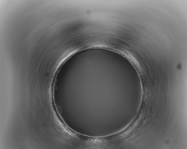X0000095510806200712211239