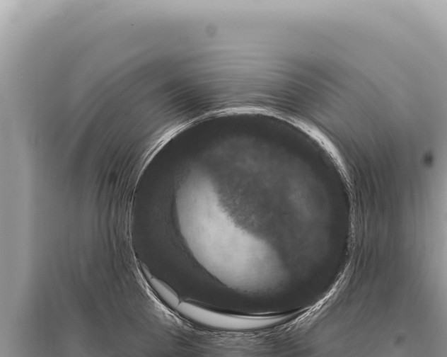 X0000095510809200712211239