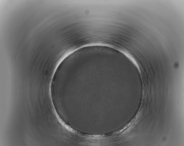 X0000095510813200712211238