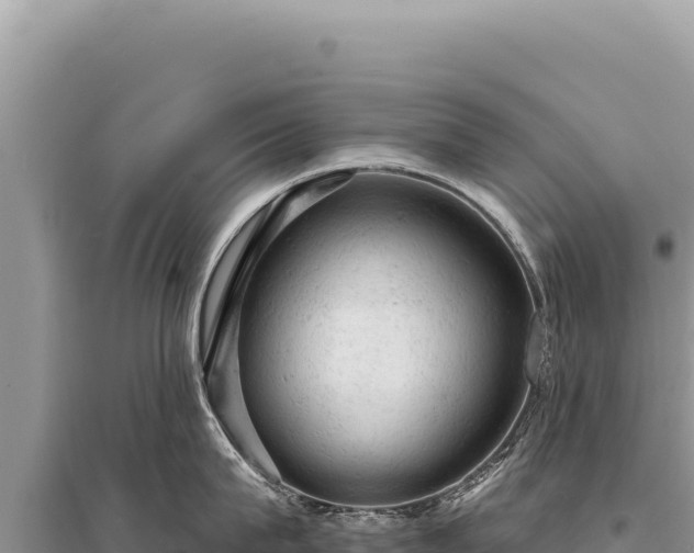 X0000095510815200712211238