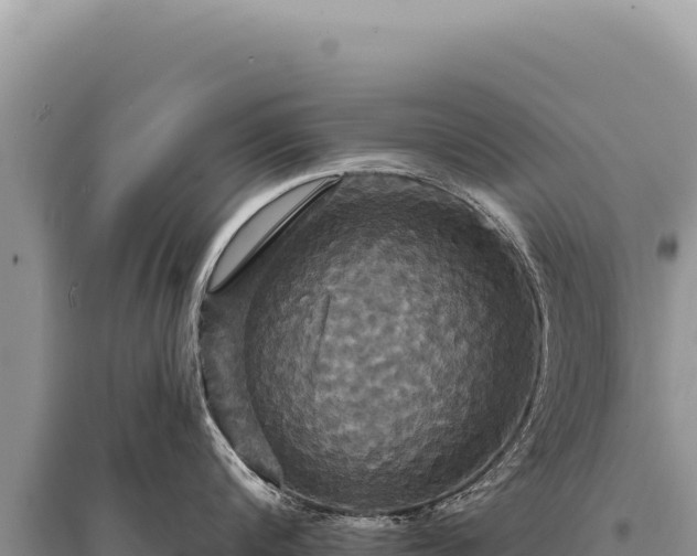 X0000095510816200712211238