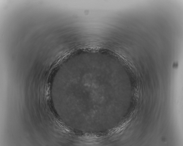 X0000095510818200712211238