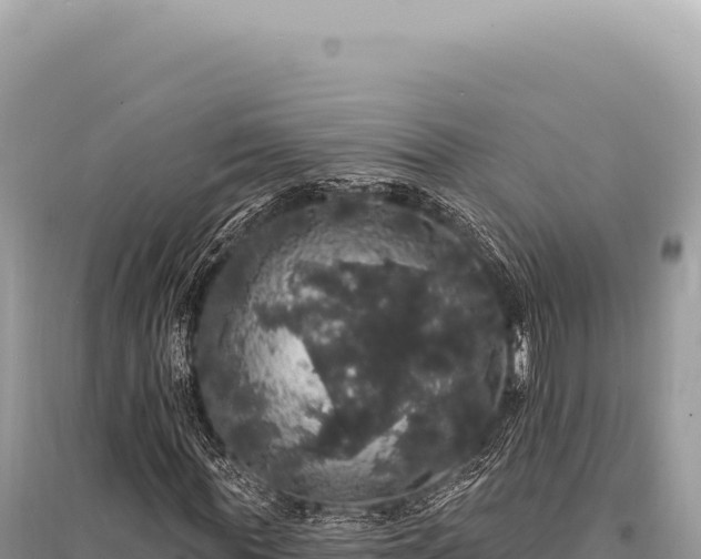 X0000095510819200712211238
