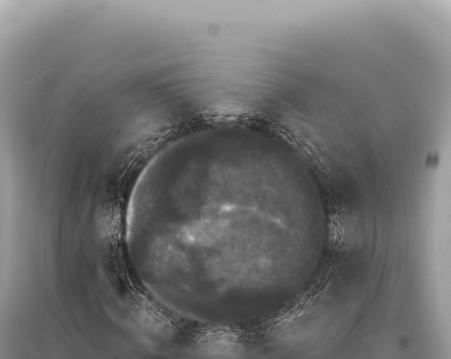 X0000095510820200712211238