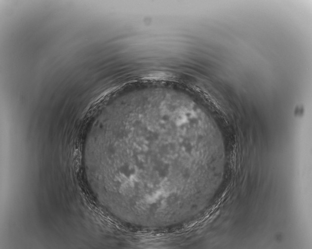 X0000095510821200712211238