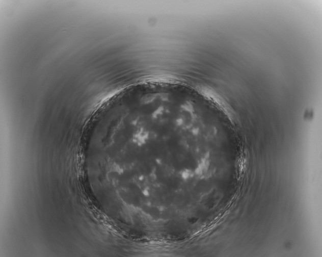 X0000095510822200712211238