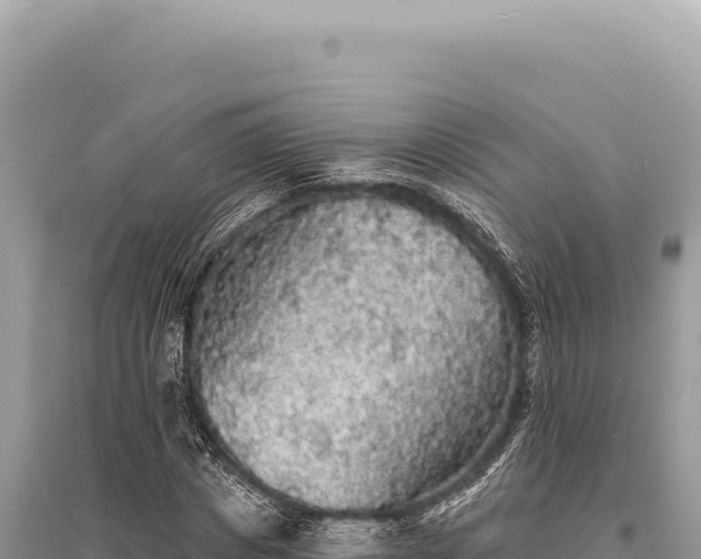 X0000095510825200712211238