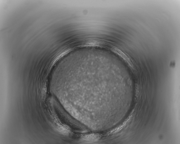 X0000095510826200712211238