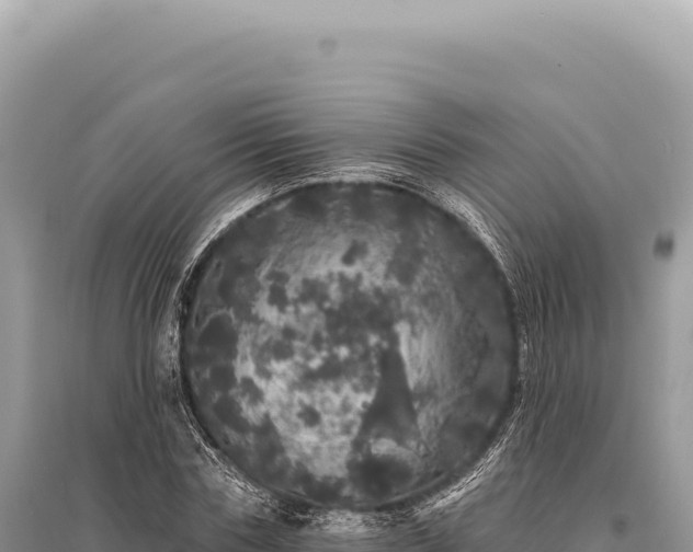 X0000095510827200712211238