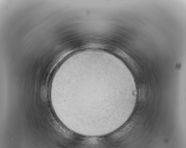 X0000095510828200712211238