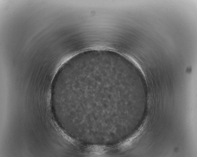 X0000095510831200712211238