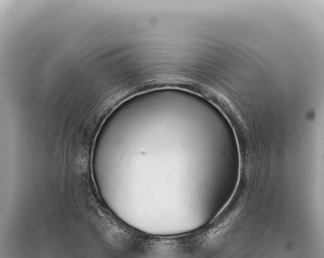X0000095510833200712211238