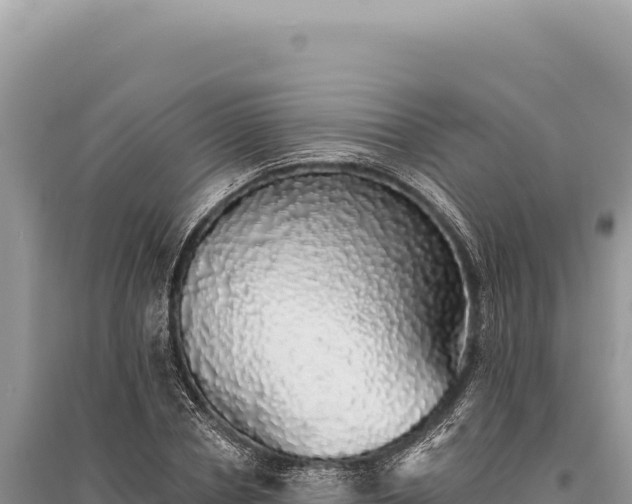 X0000095510834200712211238