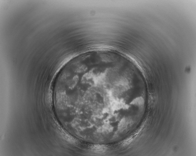X0000095510835200712211238