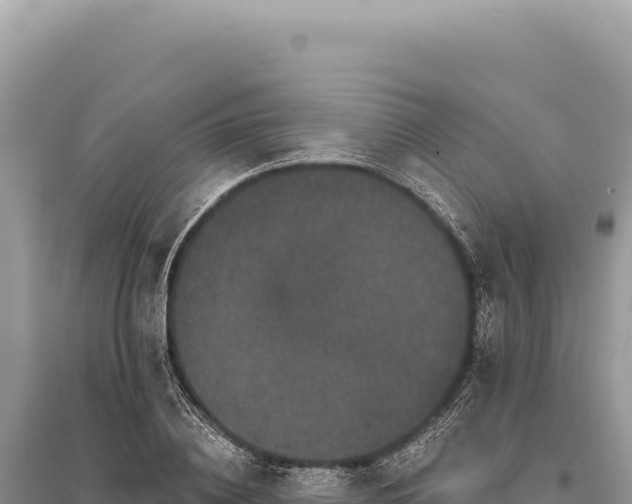 X0000095510836200712211238