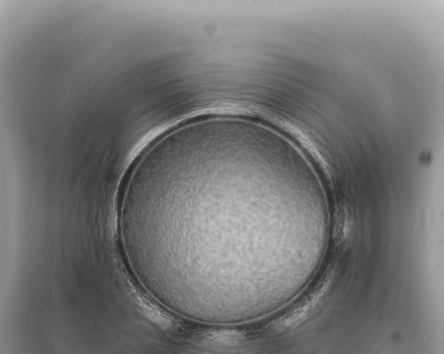 X0000095510837200712211238