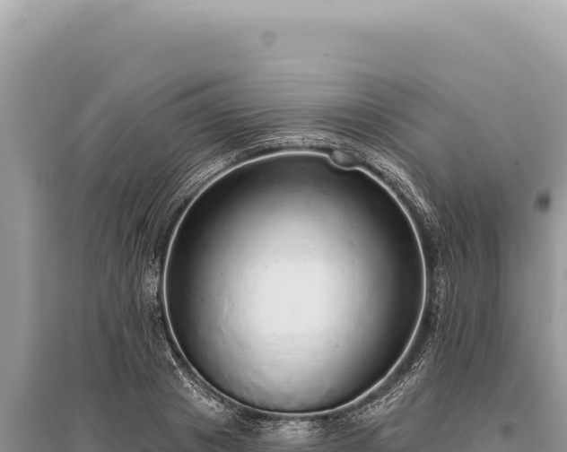 X0000095510841200712211238