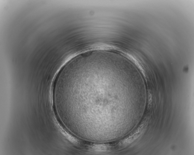 X0000095510843200712211238