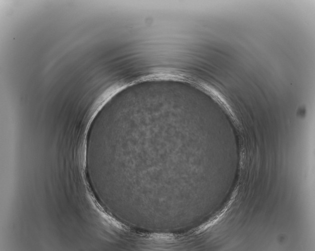 X0000095510844200712211238