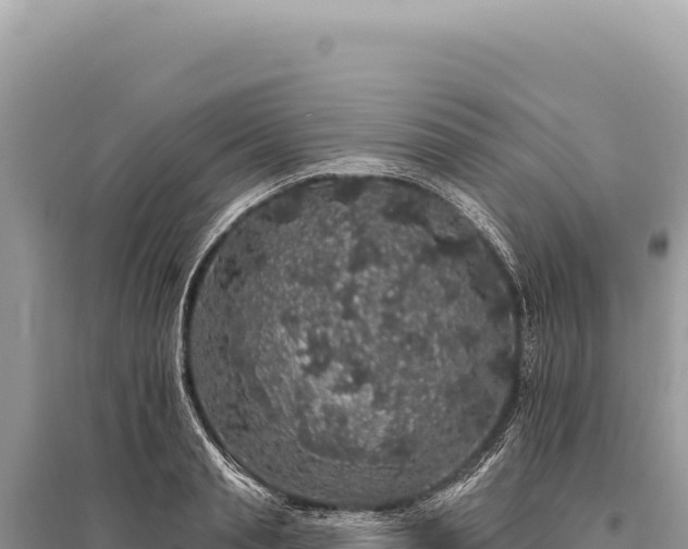 X0000095510845200712211238