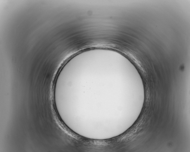 X0000095510848200712211238