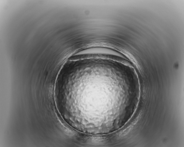 X0000095510849200712211238