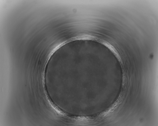 X0000095510850200712211238