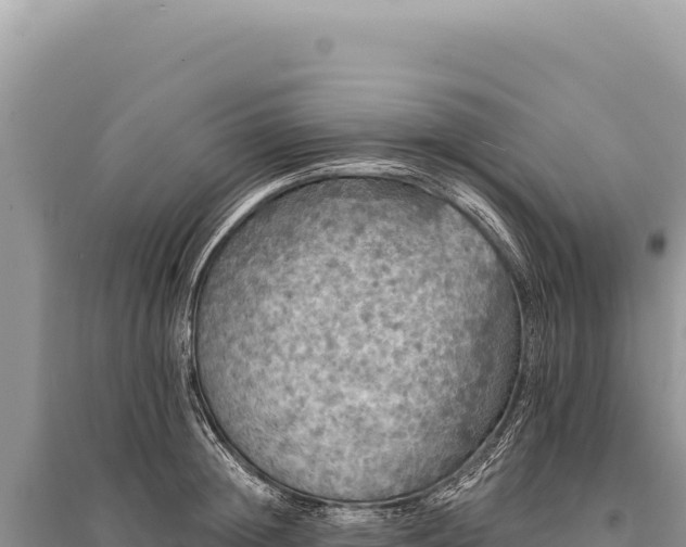 X0000095510852200712211238