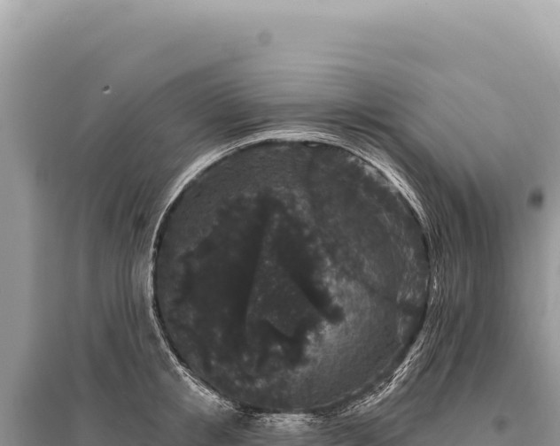 X0000095510853200712211238