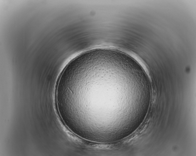 X0000095510861200712211238